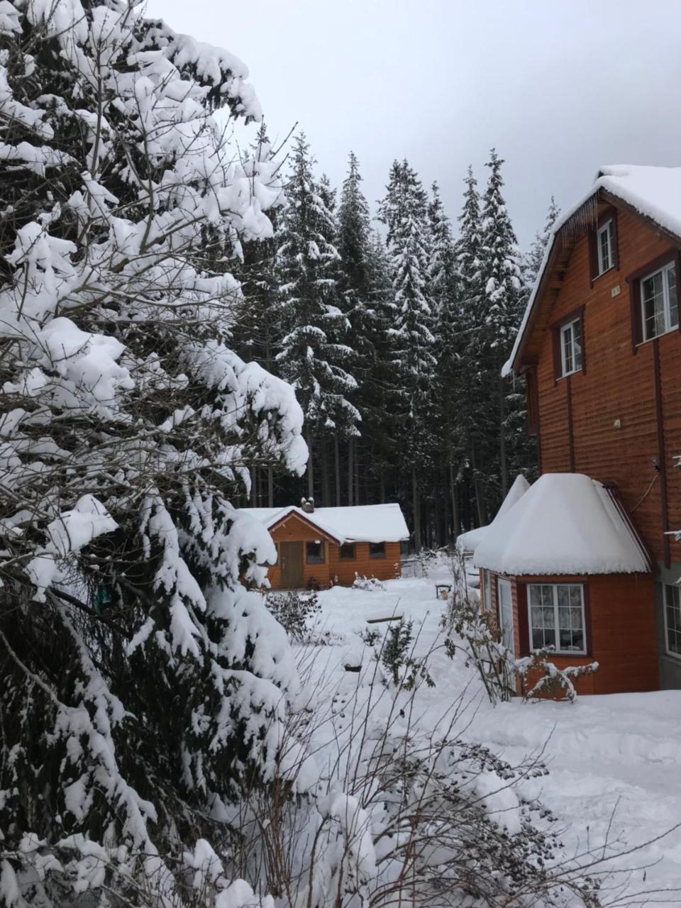 Cottage 12 Months Ворохта Экстерьер фото