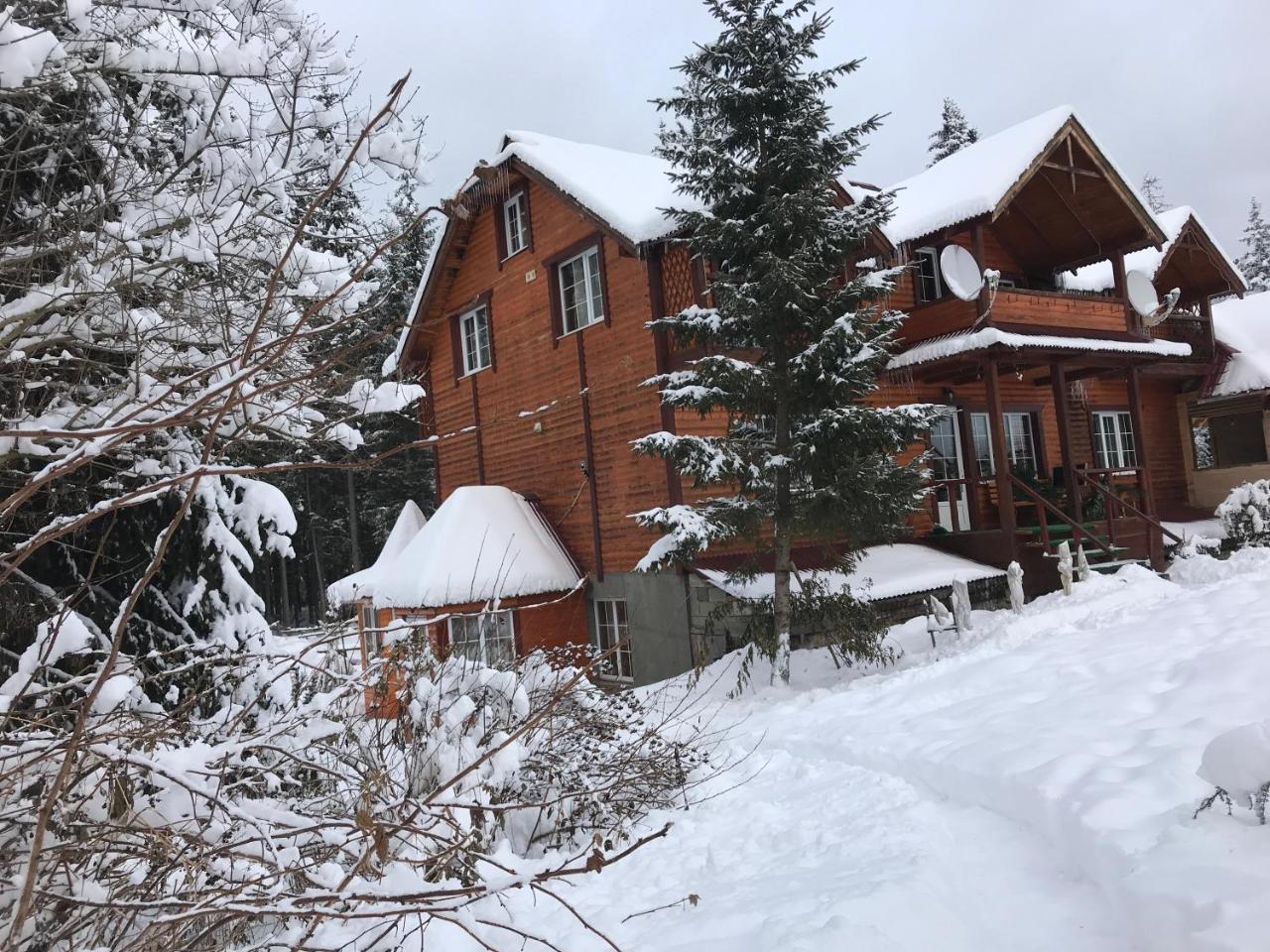 Cottage 12 Months Ворохта Экстерьер фото